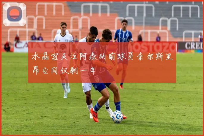 水晶宫关注阿森纳前球员奈尔斯里昂合同仅剩一年
