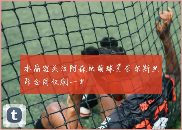 水晶宫关注阿森纳前球员奈尔斯里昂合同仅剩一年